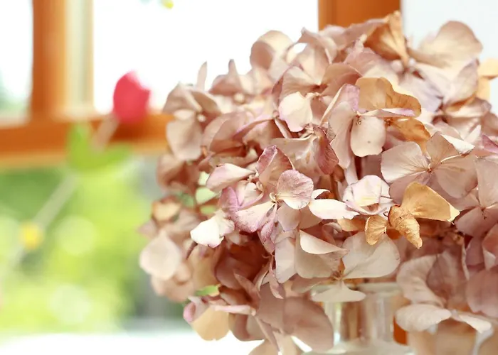 Διαμέρισμα Meeresrauschen